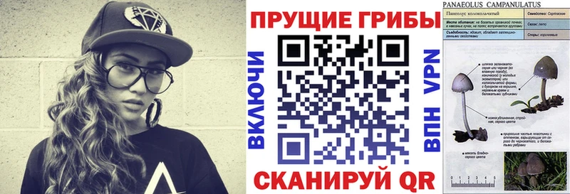 Галлюциногенные грибы Psilocybine cubensis  как найти закладки  Белозерск 